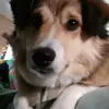 eileensnugs - @eileensnugs - TikTok