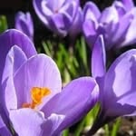 Eileen Brown Sutton - @eileenbrownsutton - Instagram