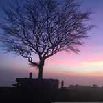 Eileen Swain - @eileen_swain - Instagram