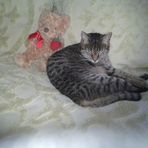 Eileen Swenson - Facebook
