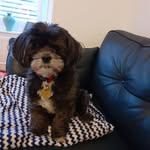 Eileen Swift - @eileenswift676 - Instagram