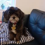 Eileen Swift - Facebook