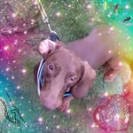 Eileen Tait - @eileentait71 - Instagram