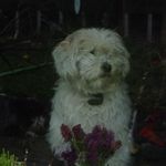 Eileen Talbot - @eileen.talbot.12 - Instagram