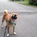 Eileen Tarbox - Facebook