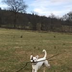 Eileen Steel - @eileensteel65 - Instagram