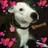 Eileen Templeton maggie - @eileen.templeton4 - TikTok