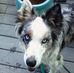 Eileen Thais Wallace - Facebook