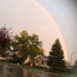 Eileen Krezanski-Therrien - @lovebird1999 - Instagram