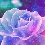 ☆Eileen Thibodeau☆ - @gymnasticslover1414 - Instagram