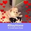 Eileen Thiel - @eileen.thiel - TikTok