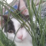 Eileen - @eileen_thier2108 - Instagram