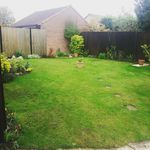 Eileen Sculthorpe - @eileensculthorpe - Instagram