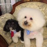 Eileen Tong - @et918 - Instagram