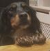 Eileen Toohey - Facebook