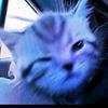 eileentotheright - @eileentotheright3 - TikTok