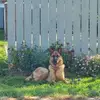 Eileen Toye - @eileen.toye - TikTok
