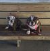 Eileen Trapp - Facebook