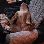 Eileen Trapp - @eileen.trapp.108 - Instagram