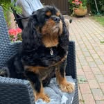 Eileen Trigg - @eileentrigg - Instagram