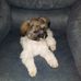 Eileen Trott - Facebook