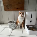Eileen Tsai - @tsai512512 - Instagram