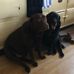 Eileen Turnbull - Facebook