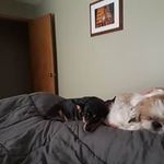 Eileen Tyler - @eileen.tyler.10 - Instagram