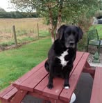 Eileen Dixon Tyrrell - Facebook