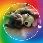 Eileen Unger - @trojancoach - Instagram