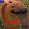 eileenvasquez101 - @eileenvasquez404 - TikTok