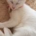 Eileen Veal - Facebook
