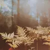vernoneileen527 - @vernoneileen527 - TikTok