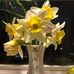 Eileen Vitale Donahue - Facebook