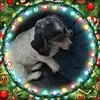 Eileen Wainwright996 - @kango120 - TikTok