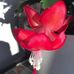 Eileen Walden - Facebook