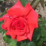 Eileen Wallis - @wallis_eileen - Instagram