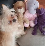 Eileen Wallis - Facebook