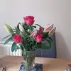 Eileen Wallis - @eileen.wallis1 - TikTok