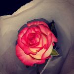 Cheyenne, Eileen Walter - @bitch_dont_tell_me_lies - Instagram