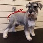 Eileen Walters - @eileen.walters - Instagram