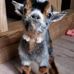 Eileen Wargo - Facebook