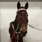 Eileen Washington - @e_wash80 - Instagram