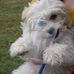 Eileen Waters - Facebook