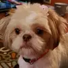 Eileen Waters - @eileenwaters0059 - TikTok