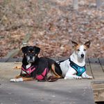 Eileen Waters - @eileen.h2os - Instagram