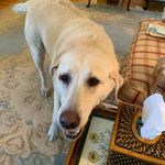 Eileen Watts - @eileen.watts.545 - Instagram