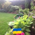 Eileen Weaver - @eileen.weaver4cats - Instagram