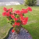 Eileen Weaver - @declan12ew - Instagram