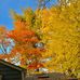 Eileen Weaver - Facebook